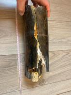 Mammoet fragment slagtand, Verzamelen, Mineralen en Fossielen, Ophalen