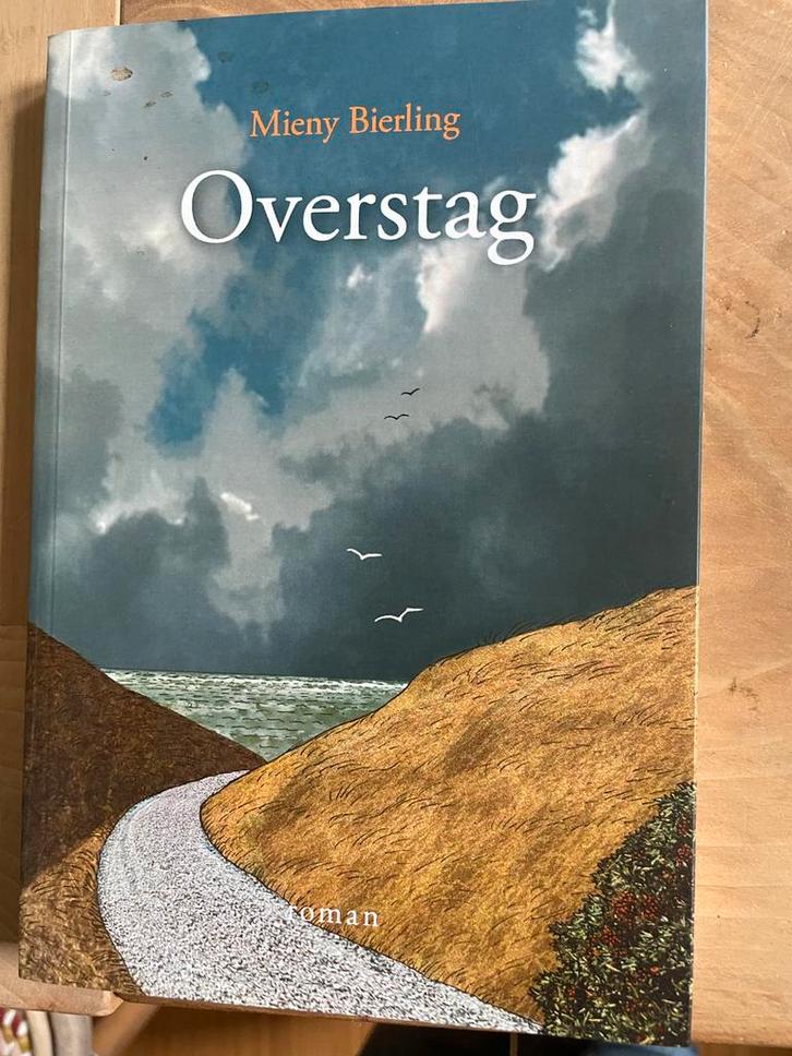 Overstag - Mieny Bierling, Boeken, Romans, Zo goed als nieuw, Nederland, Ophalen of Verzenden