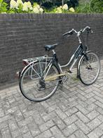 Koga Miyata Roadrunner Lady, Gebruikt, Versnellingen, 56 cm of meer, Ophalen