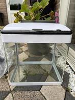 Aquarium, Ophalen, Gebruikt, Leeg aquarium
