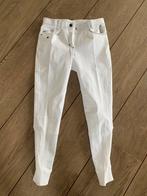 Euro-Star Merle paardrijbroek nieuw maat 36, Ophalen of Verzenden, Nieuw, Onderkleding