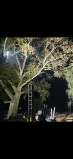 Populier hout(enorm veel hout), Ophalen, Overige houtsoorten