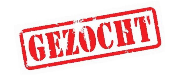Gezocht: Garagebox Vianen (ZH), Auto diversen, Autostallingen en Garages