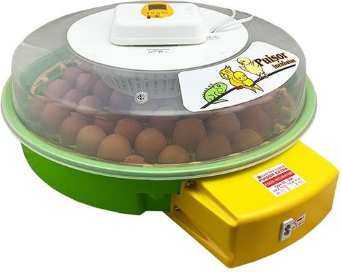 Puisor Exotic 204 – Autom. Broedmachine + Gratis broedeieren, Dieren en Toebehoren, Pluimvee | Toebehoren, Nieuw, Overige typen