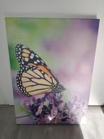 Schilderij vlinder, Ophalen, Minder dan 50 cm, Gebruikt, Schilderij
