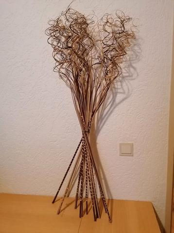 Decoratieve Krul Takken Bos - Natuurlijke Elegantie beschikbaar voor biedingen