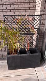 Plantenbox 3 planten rieten, Ophalen, Overige materialen, Gebruikt, Vierkant