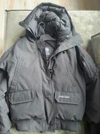 Canada Goose jas te koop, Ophalen, Zo goed als nieuw, Maat 38/40 (M), Blauw