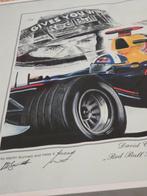 Schilderij  David coulthard, Ophalen of Verzenden