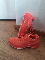 Zaalschoenen - Maat 42 a 42.5, Kleding | Dames, Schoenen, Ophalen, Zo goed als nieuw, Sneakers of Gympen