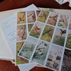 Boeken Lente, Herfst, Zomer, Winter van Jac. P. Thijsse, Ophalen of Verzenden