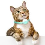 GPS Tracker voor Katten met Activiteitsmonitor, Ophalen of Verzenden, GPS, Nieuw