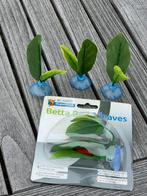Betta bed, 4 stuks, Dieren en Toebehoren, Vissen | Aquaria en Toebehoren, Ophalen, Zo goed als nieuw, Plant(en), Steen of Hout