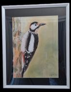 Specht in lijst, Ophalen of Verzenden