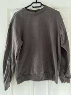 H&M sweater grijs maat s, Ophalen of Verzenden, Zo goed als nieuw, Grijs, Maat 46 (S) of kleiner