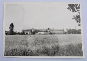 Moederfoto GILZE bejaardencentrum Huize St Franciscus 1959. beschikbaar voor biedingen