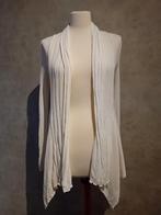 Mooi vestje met kant op rug! z.g.a.n., Kleding | Dames, -, Wit, Ophalen of Verzenden, Zo goed als nieuw