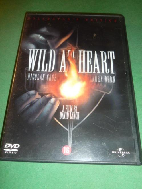 Wild at heart David Lynch dvd, Cd's en Dvd's, Dvd's | Filmhuis, Zo goed als nieuw, Overige gebieden, Ophalen of Verzenden