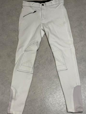 QHP wedstrijd broek maat 152/12 beschikbaar voor biedingen