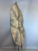 241211 Afrikaans Konso schild met standaard uit Ethiopie, Antiek en Kunst, Ophalen of Verzenden