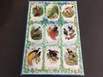Jumbo Vogel Puzzel Exotic Birds 1000 stukjes, Ophalen of Verzenden, 500 t/m 1500 stukjes, Legpuzzel