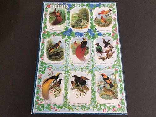 Jumbo Vogel Puzzel Exotic Birds 1000 stukjes, Hobby en Vrije tijd, Denksport en Puzzels, Legpuzzel, 500 t/m 1500 stukjes, Ophalen of Verzenden