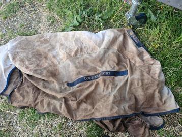 Bucas buzz of rain  beschikbaar voor biedingen