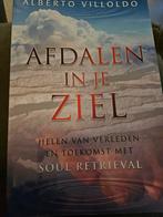 Afdalen in je Ziel - Alberto Villoldo, Boeken, Achtergrond en Informatie, Ziel of Sterfelijkheid, Ophalen of Verzenden, Zo goed als nieuw