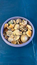 Partij schelpen ongeteld, Ophalen of Verzenden