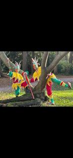 Nar pakken, Ophalen of Verzenden, Gebruikt, Kostuum, Carnaval