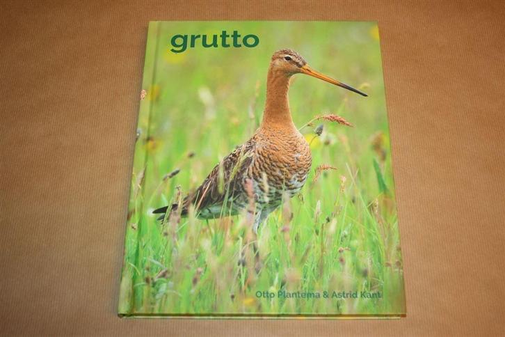 Prachtig boek over de Grutto !!, Boeken, Dieren en Huisdieren, Zo goed als nieuw, Paarden of Pony's, Ophalen of Verzenden