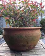 Oude antieke terracotta bloempot 36cm, Tuin en Terras, Bloempotten, 25 tot 40 cm, Terracotta, Rond, Gebruikt