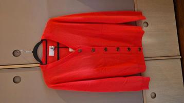 Cashmere beschikbaar voor biedingen