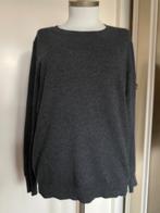trui Uniqlo 100% cashmere grijs, Kleding | Dames, Ophalen of Verzenden, Zo goed als nieuw, Maat 42/44 (L), Grijs