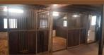Gezellige kleinschalige pensionstal, Weidegang, 2 of 3 paarden of pony's