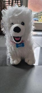 Paco knuffel te koop, voor de sier gestaan, Ophalen, Overige typen
