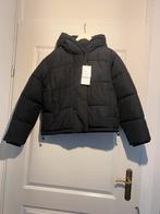Korte zwarte gewatteerde winterjas van Zara - maat L, Maat 42/44 (L), Nieuw, Ophalen of Verzenden, Zara