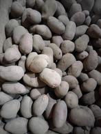 Aardappelen te koop, Diversen, Levensmiddelen, Ophalen