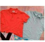 polo’s kiwi saint tropez maat m, Ophalen of Verzenden, Zo goed als nieuw, Saint tropez