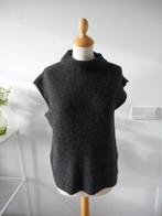 Mouwloze trui, spencer van Jane Lushka, maat M, Maat 38/40 (M), Zwart, Ophalen of Verzenden, Zo goed als nieuw