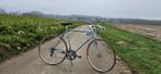 Batavus Champion vintage racefiets, Ophalen, Gebruikt, Batavus, 53 tot 57 cm