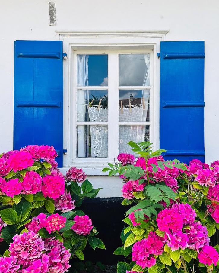 Idyllisch authentiek huisje Picardië strand krijtrots 4 p., Vakantie, Vakantiehuizen | Frankrijk, Normandië, Picardie of Noord