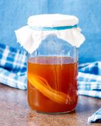 Kombucha scoby, Diversen, Levensmiddelen, Ophalen of Verzenden
