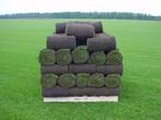 graszoden vers gesneden, premium kwaliteit, Ophalen, Nieuw, Minder dan 10 m², Gras