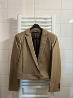 Gucci blazer - nieuw/nooit gedragen, Kleding | Dames, Zwart, Nieuw, Ophalen of Verzenden, Gucci