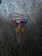 Ajax - FC Basel vaan 1970/1971, Ophalen of Verzenden, Zo goed als nieuw, Ajax, Vaantje of Sjaal