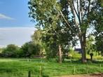 Weiland voor pony's te huur, Dieren en Toebehoren, Stalling en Weidegang, Weidegang, 2 of 3 paarden of pony's