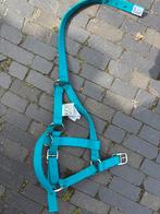 Paarden halster, Ophalen, Zo goed als nieuw, Overige soorten