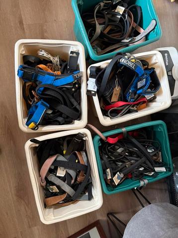 Diverse nieuwe hondenriemen beschikbaar voor biedingen