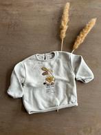 Zara truitje, Ophalen of Verzenden, Zo goed als nieuw, Zara, Truitje of Vestje